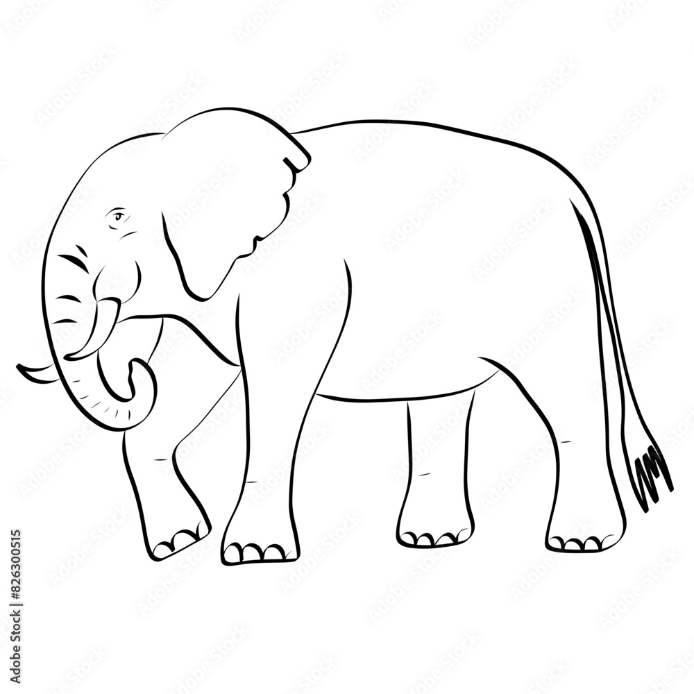 Obraz premium Elephant Line art