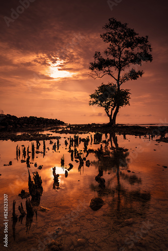 Scenic view of a beautiful sunset over Carita Anyer Banten, Indonesia