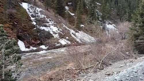 A look through the thick bushes at the turbulent bed of a small mountain river flowing through the forest with its banks covered with snow. Chibit river, Altai, Siberia, Russia. photo