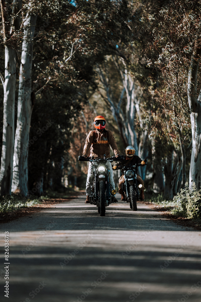 Obraz premium people riding their motorcycles down the street with trees and plants behind them