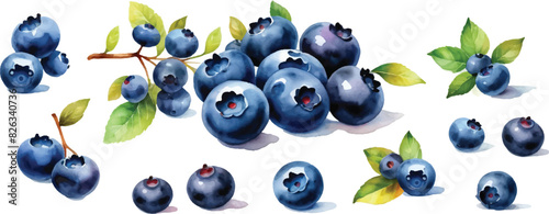 Blueberry pattern background in watercolor2