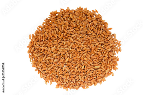 Organic peeled spelt grains isolated on a transparent background