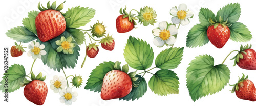 Strawberry pattern background in watercolor4