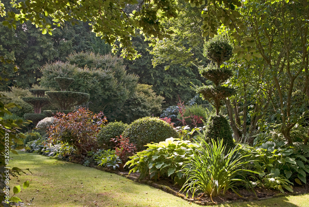 if taillé, buis taillé, Les Jardins de Castillon Plantbessin. Castillon, 14, Calvados, France if taillé, buis taillé, Les Jardins de Castillon Plantbessin. Castillon, 14, Calvados, France