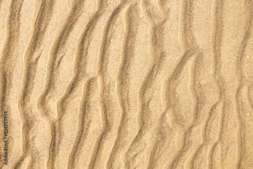 Sea beach sand detail - top view