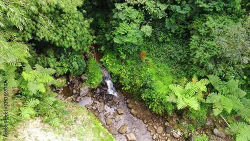 river flow in the forest