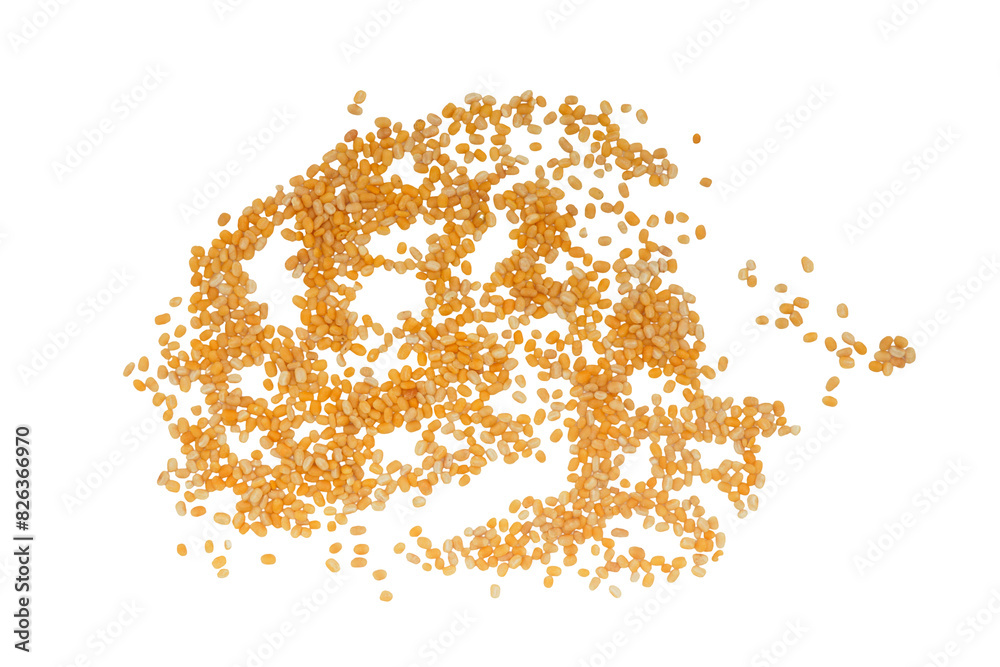 Corn Seeds isolated on a transparent background Corn Seeds isolated on a transparent background