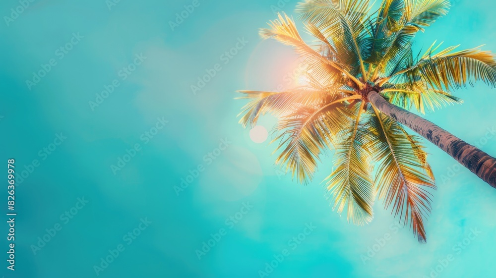 Tropical palm tree against bright blue sky with sunlight Tropical palm tree against bright blue sky with sunlight