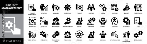 Project management. Set of project management icons. Vector illustration