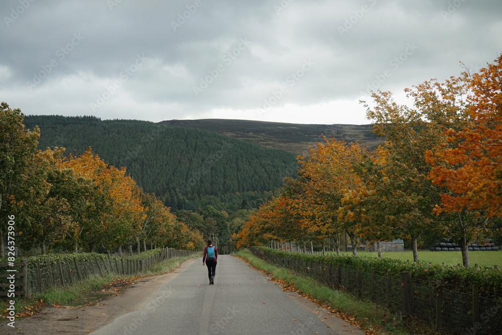 Obraz premium hiking in the Scottish Highlands, Cairngorms, Ballater, Scotland
