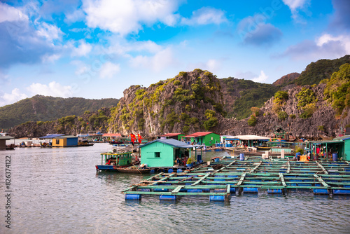 Floating fishing village in sea bay in Vietnam, boats and islands photo