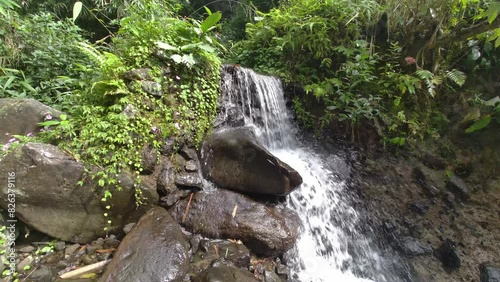 waterfall in the forest