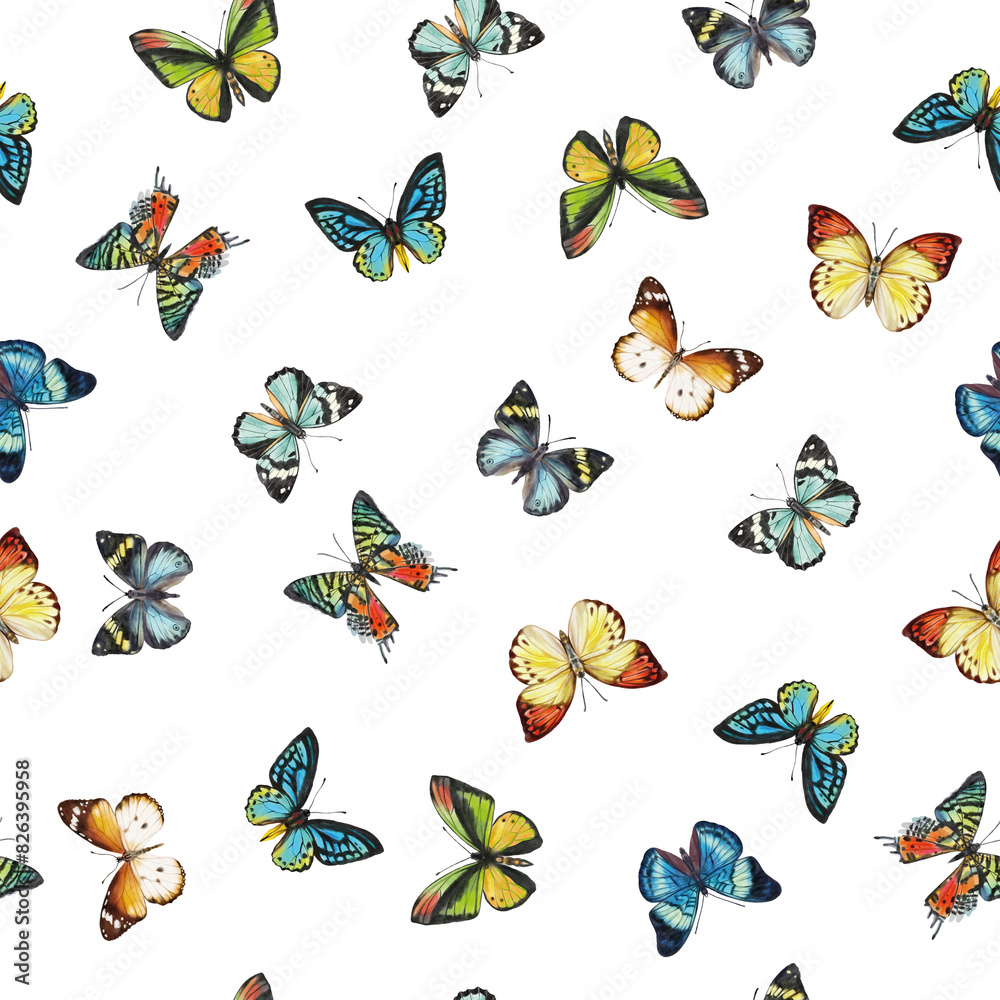 Obraz premium Print