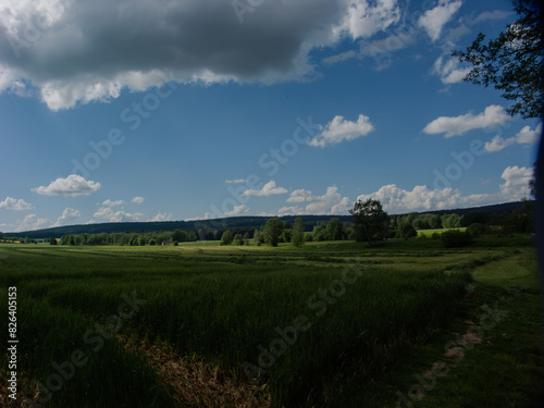 Wallpaper Mural 2024 Torontodigital.ca