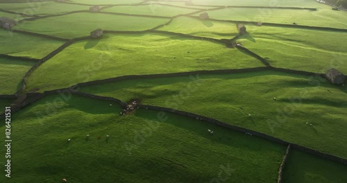 Aerial shot of stonewalls and pastures in Swaledale photo