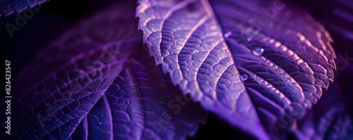 Ethereal Radiance of a Neon...