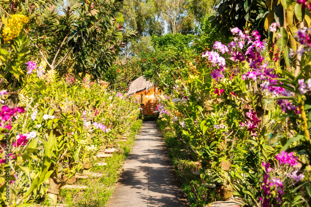 Many orchids blooming in flower garden in Vietnam Many orchids blooming in flower garden in Vietnam