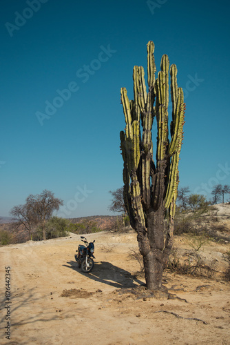 cactus grande en medio de la serrania, con una moto en al lado, paisaje arido y seco 
