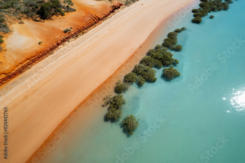 Aerial view of Simpson Beach with mangrove, Minyirr, Western Australia, Australia.