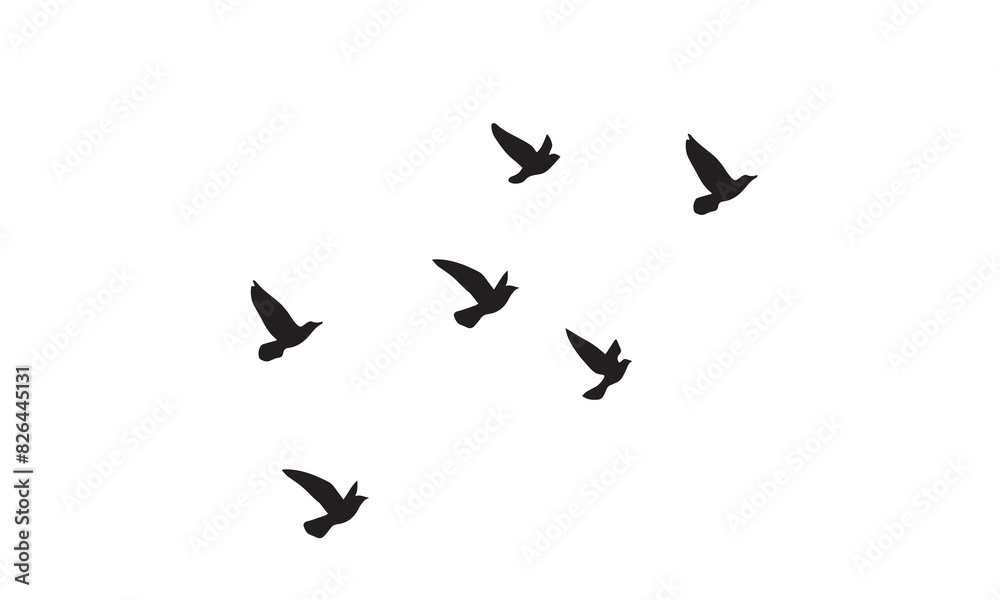 Flying Birds Vector And Illustration. 