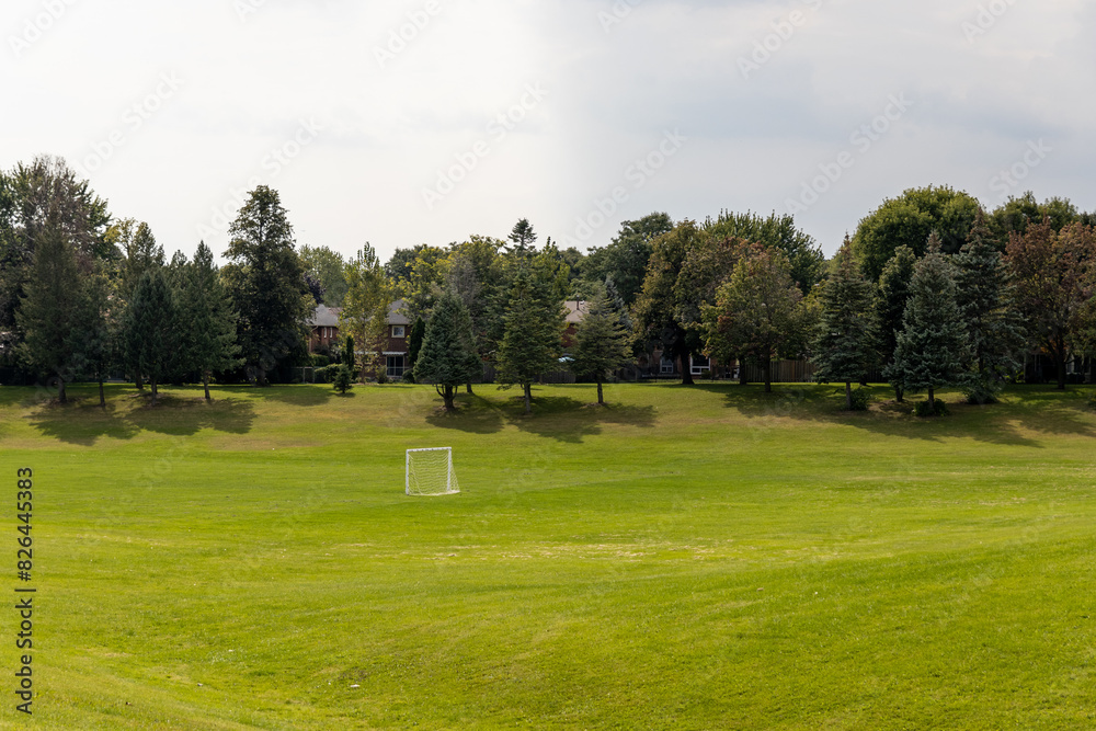 Vast green grassy field - partly cloudy sky - scattered trees - soft shadows - white goal post and residential area in background. Taken in Toronto, Canada.