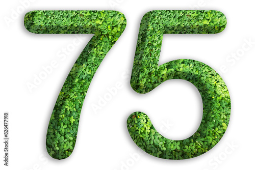 3d of the number of 75 is made from green grass on white background, go green concept