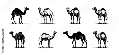 set of camel silhouettes, isolated background
