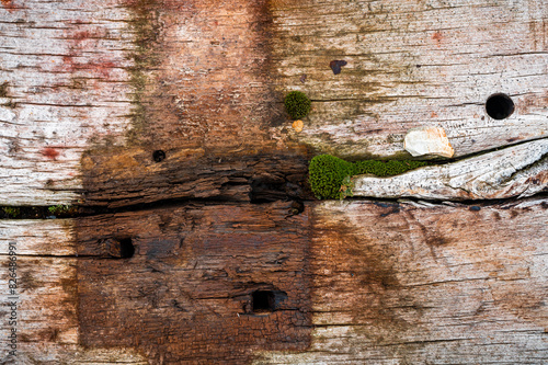 wood texture with vegetation growing in the cracks, rotted by weather and time, was used to build railways