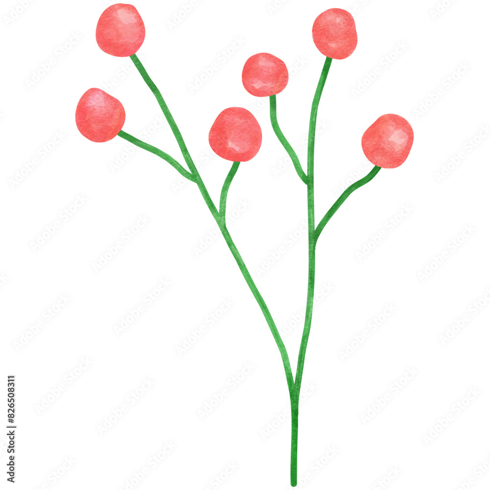 flower flower