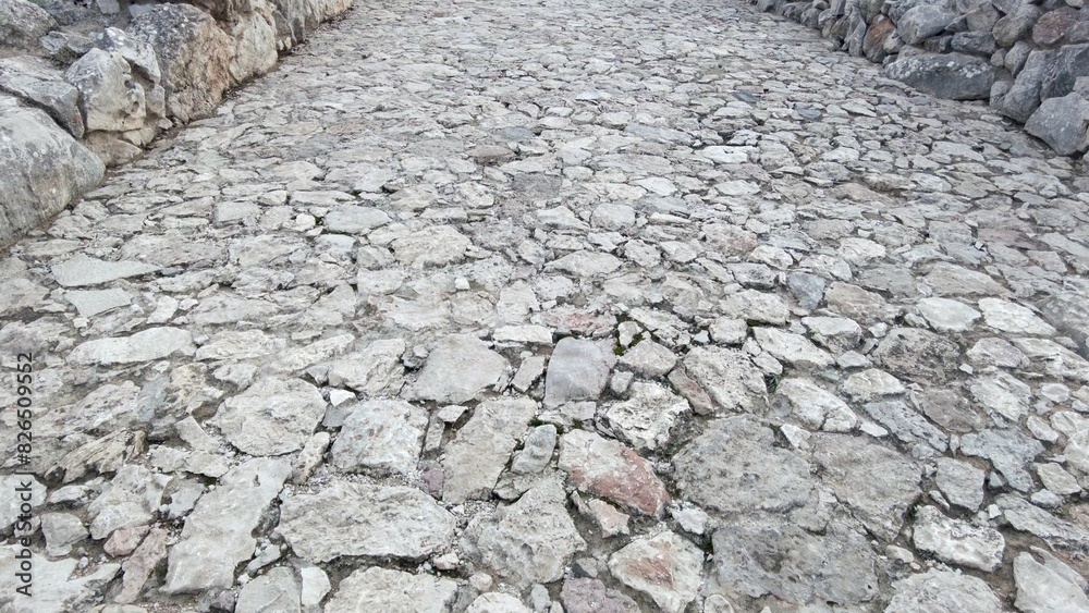 walking on a cobblestone road stones from the past in an archaeological site, seen from the bottom as a dog sees