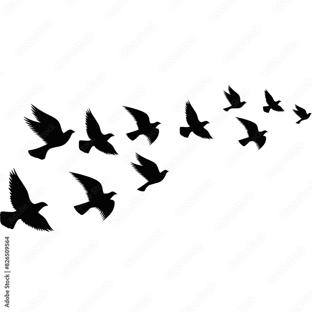 A flock of flying birds. Pigeons Flying Silhouettes. group of birds in the sky A flock of flying birds. Pigeons Flying Silhouettes. group of birds in the sky