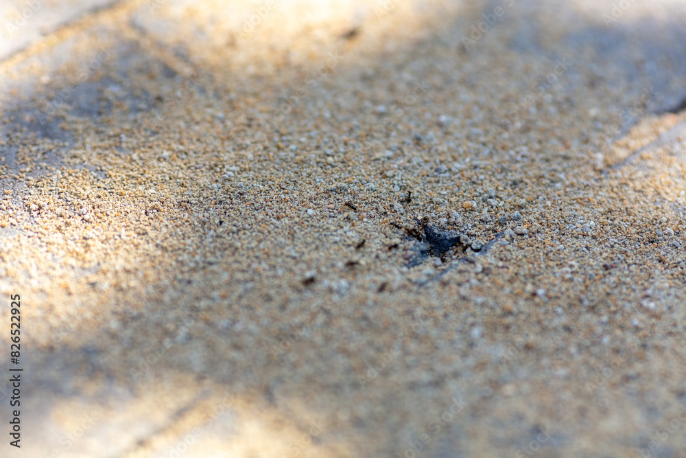 Close-Up of Sandy Texture with Shadows in Natural Sunlight - Abstract Background Concept for Outdoor Nature Themes Close-Up of Sandy Texture with Shadows in Natural Sunlight - Abstract Background Concept for Outdoor Nature Themes