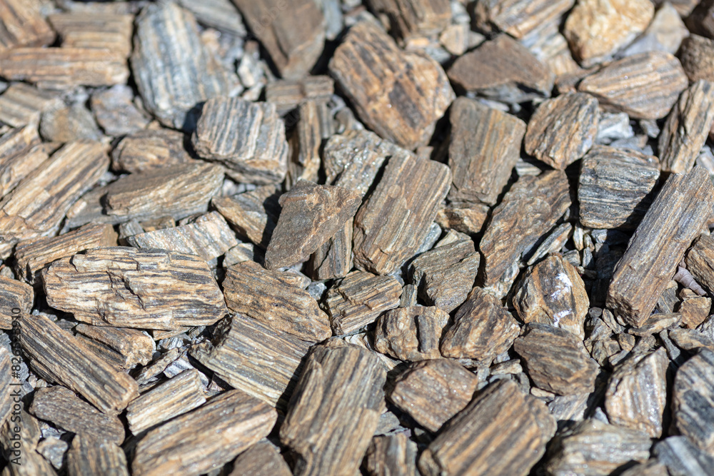 Close-Up of Wood Chips Texture and Pattern, Natural Brown Organic Mulch for Gardening and Landscaping, Daylight, Eco-Friendly Ground Cover Material Close-Up of Wood Chips Texture and Pattern, Natural Brown Organic Mulch for Gardening and Landscaping, Daylight, Eco-Friendly Ground Cover Material