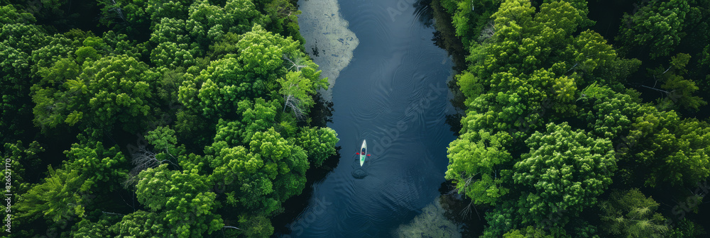 a drone view of a winding river through a lush forest with kayakers paddling a drone view of a winding river through a lush forest with kayakers paddling