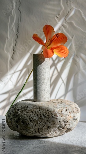 Obraz na płótnie Minimal stone podium with flower and with shadow leaves on beige wall background. Mock up for presentation, branding products, cosmetics jewellery. w salonie