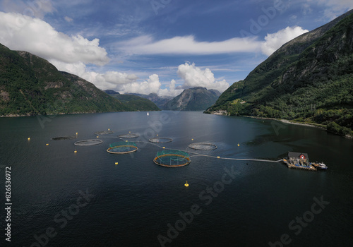 Aerial view of fish farm in Tveitnesvika, Maurangsfjorden, Mauranger, Vestland, Norway. photo