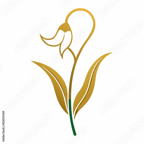 elegant golden "Lily of the valley flower" plant on white background. simple and clean, line drawing, sketch stylized , outline