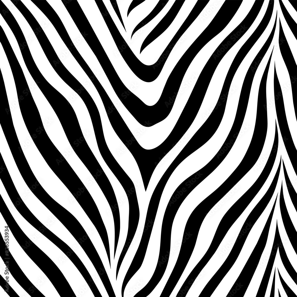 Monochrome Zebra Stripe Design
Monochrome Zebra Stripe Design
