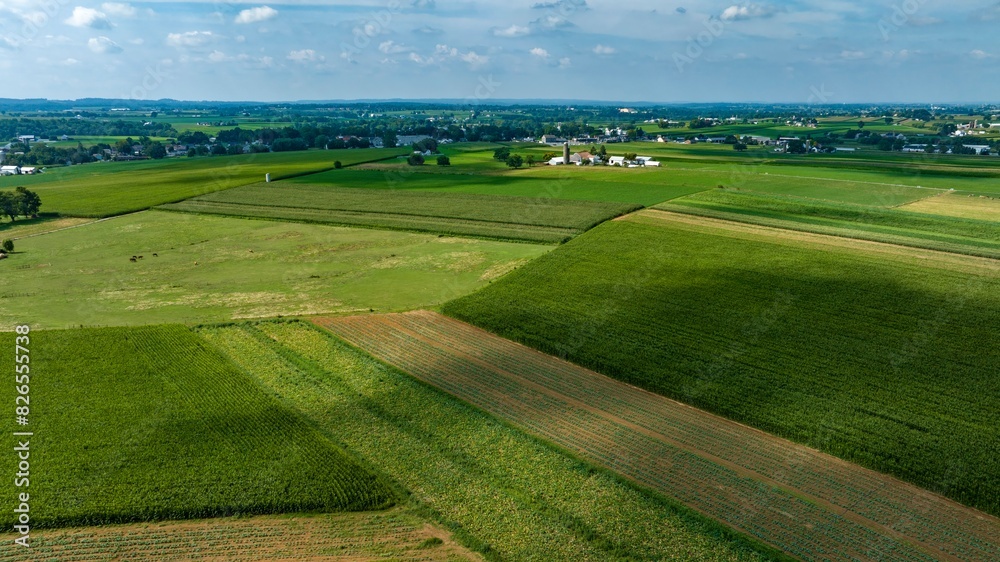 Obraz premium An Expansive Farmland with Rows of Crops and Barns