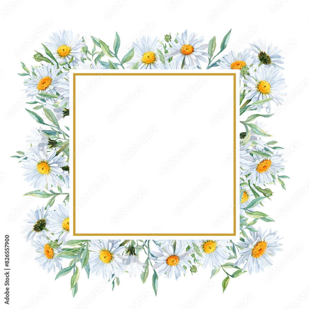 Obraz premium Square Card with Frame with Chamomiles all around
