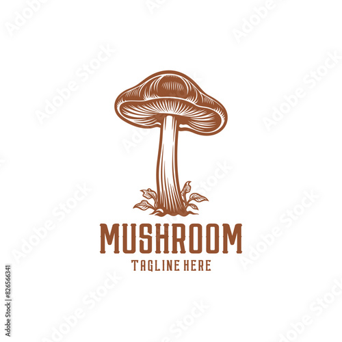 Vintage mushroom logo vector illustration