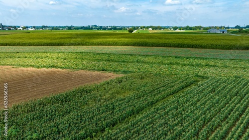 An Expansive Farmland with Rows of Crops and Barns