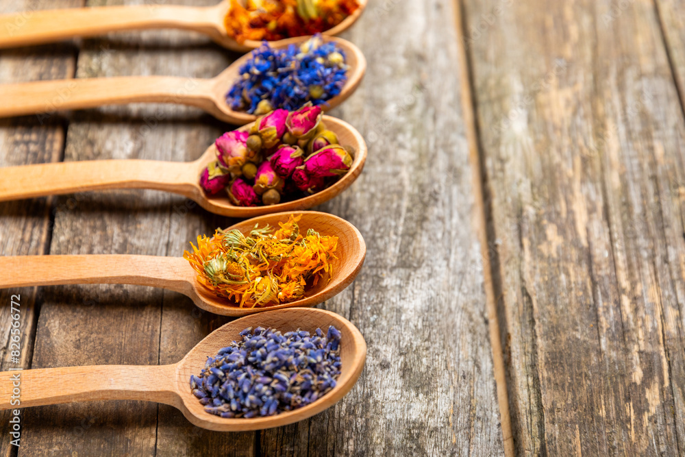Fototapeta premium Assortment of dry herbal and berry tea in wooden spoons on a wooden background.Medicinal Healing herbs.Alternative medicine concept.Linden, calendula, cornflowers, marigold, tansy, tea rose.dry herbal