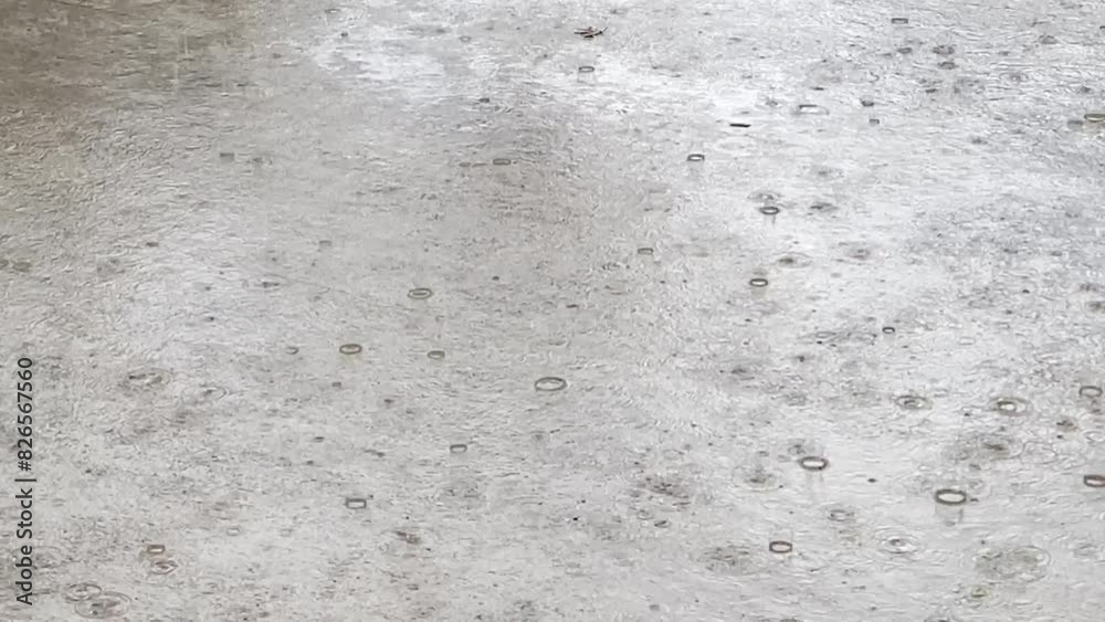 Large Drops of Summer or Autumn Rain Falling onto City Sidewalk, Forming a Puddle and Flooding the Street Large Drops of Summer or Autumn Rain Falling onto City Sidewalk, Forming a Puddle and Flooding the Street