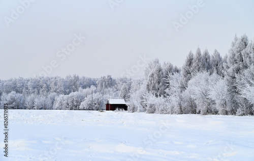 winter forest in frost, house in winter forest, frosty day