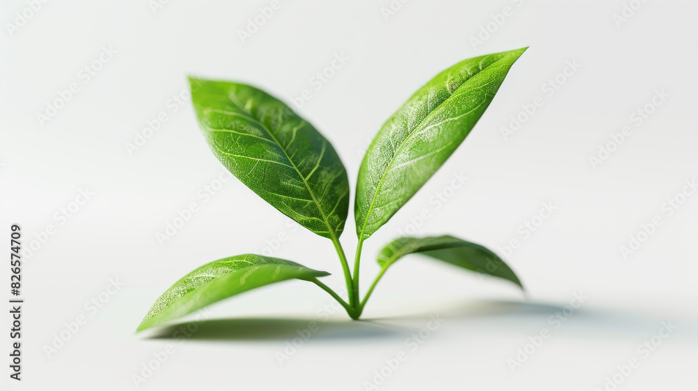 Fototapeta premium Minimalistic illustration of a stylized plant with green leaves against a neutral background 