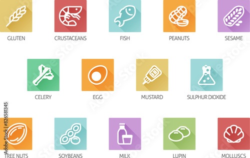 Food allergen allergy icons. include big 8 FDA Major Allergens and 14 food allergies from the EU Food Information for Consumers Regulation EFSA European Food Safety Authority Annex II