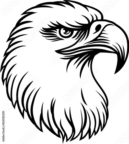 Bald eagle, hawk or falcon ...