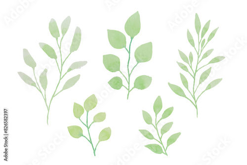 Assortment of watercolor leaves illustration set - green leaf branches collection for wedding, greetings, stationary, wallpapers, fashion, background. olive, green leaves, Eucalyptus etc