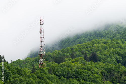 Cell tower in remote locations. Antenna tower in the forest. Radio tower in a subtropical forest. Development of information technologies in hard-to-reach places.